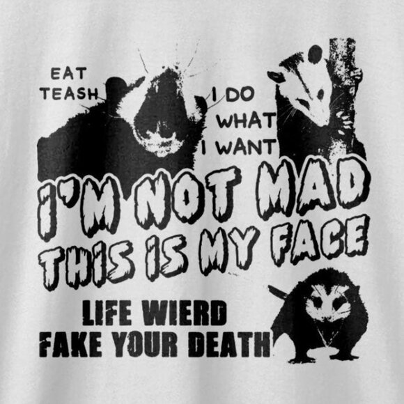 Opossum Im Not Mad This Is My Face Funny Angry Animal Graphic Humor T-Shirt 165 - Picture 2 of 5
